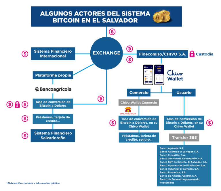 Infografía con actores del sistema bitcoin en el salvador