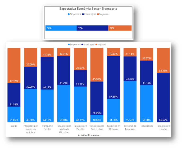 Gráfica con expectativas de la economía en el sector del transporte. Año 2020.
