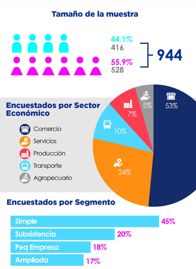 Tamaño de la muestra:

944 encuestados en total.
44.1% (416 personas) de los encuestados son hombres.
55.9% (528 personas) de los encuestados son mujeres.

Gráfico Encuestados por Sector Económico:

53% en Comercio.
24% en Servicios.
10% en Transporte.
7% en Producción.
5% en Agropecuario.
Encuestados por Segmento:

45% pertenecen al segmento Simple.
20% pertenecen al segmento de Subsistencia.
18% son de Pequeña Empresa.
17% pertenecen al segmento Ampliada.
