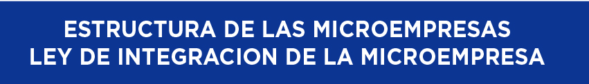 Estructura de las microempresas ley de integración de la microempresa,
 