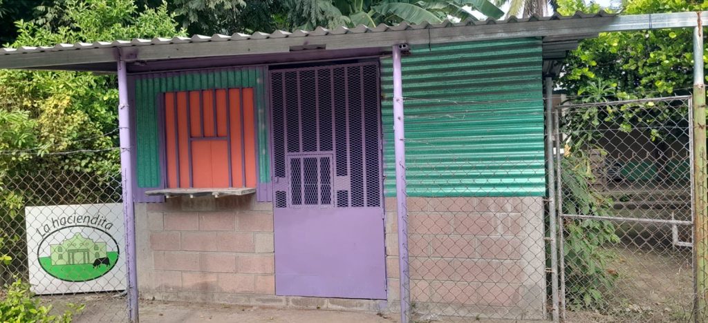 Una pequeña estructura de venta local con paredes de lámina verde y bloques de cemento. La fachada tiene una puerta metálica y una ventana con rejas, ambas pintadas de color morado, mientras que las persianas de la ventana son de color naranja. A la izquierda, un letrero con el nombre La Haciendita muestra un dibujo de una casa con árboles verdes y el logo de la tienda. La estructura está rodeada por una cerca de malla metálica y vegetación abundante en el fondo.