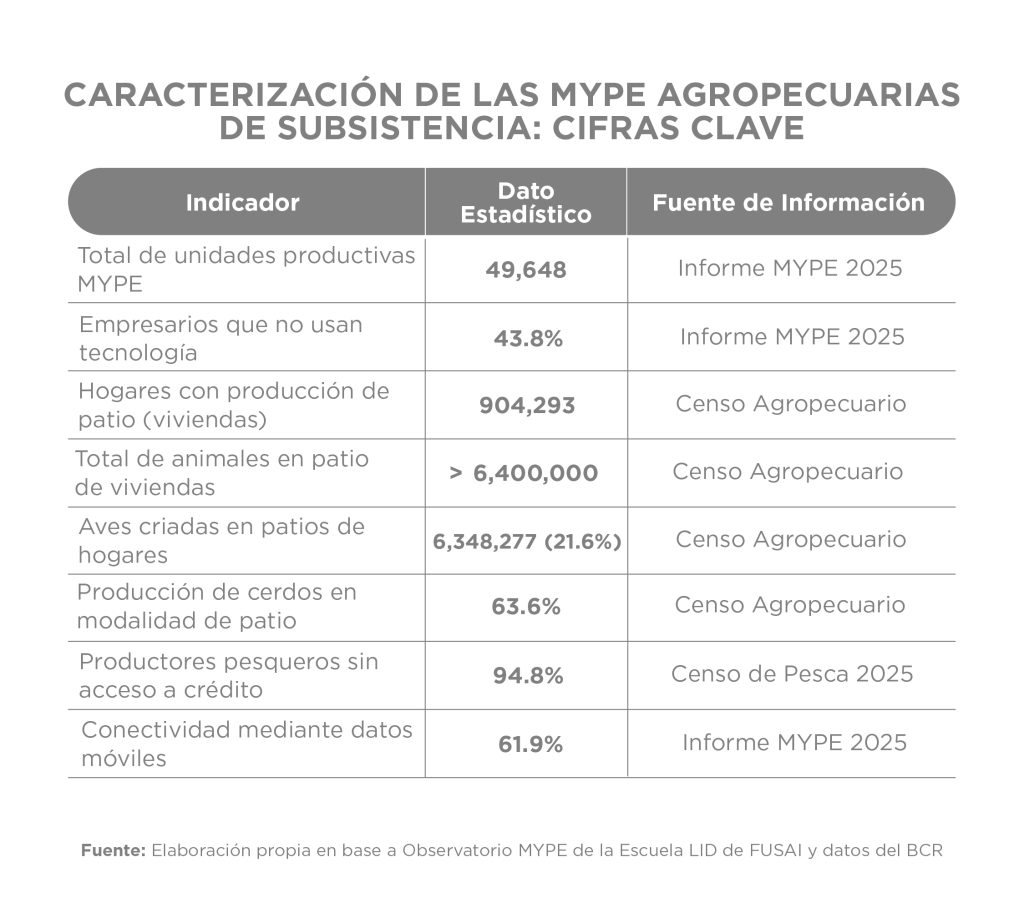 Tabla con cifras clave sobre la caracterización de las MYPE agropecuarias de subsistencia en El Salvador, incluyendo tecnología, producción y acceso a crédito.